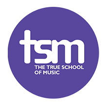 The True School of Music, Vijaybhoomi University logo