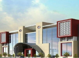 Delhi Institute of Aeronautical Sciences