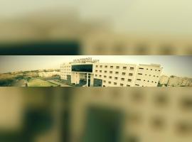 Sri Aurobindo Institute of Technology