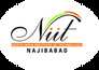 North India Institute of Technology (NIIT Najibabad) logo