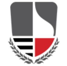 Mukesh Patel School of Technology Management and Engineering, NMIMS, Shirpur logo