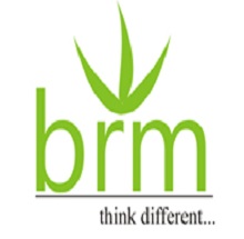 BRM International Institute of Technology logo