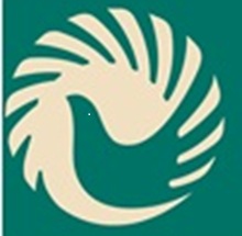 GITAM School of Technology, Bengaluru logo