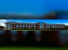 Dr. Preeti Global University