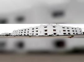 Renaissance University