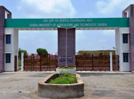 Banda University of Agriculture and Technology